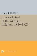 Iron and Steel in the German Inflation, 1916-1923