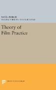 Theory of Film Practice