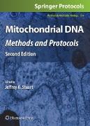 Mitochondrial DNA