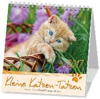 Kleine Katzen-Tatzen 2022. Postkarten-Kalender