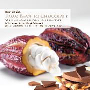 From Bean to Chocolate - Von der Kakaobohne zur Schokolade