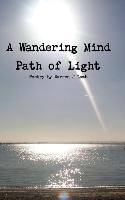 A Wandering Mind Path of Light