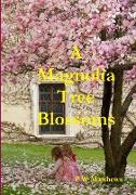A Magnolia Tree Blossoms