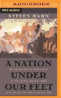 A Nation Under Our Feet: Black Political Struggles in the Rural South from Slavery to the Great Migration