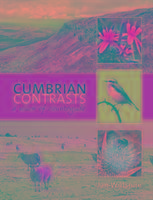 Cumbrian Contrasts