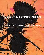 Enrique Martínez Celaya: 1990-2015: A Monograph from the Studio Archive