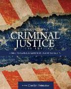 Introduction to Criminal Justice: Structure, Process, Principles and Morality