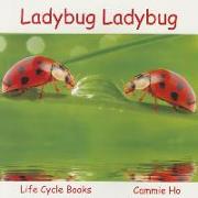 Ladybug Ladybug: Life Cycle Books