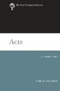 Acts: A Commentary