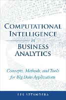 Computational Intelligence in Business Analytics: Concepts, Methods, and Tools for Big Data Applications