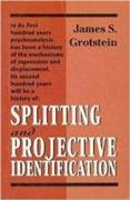 Splitting and Projective Identification