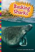 Basking Sharks