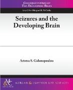 Seizures and the Developing Brain