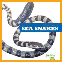 Sea Snakes