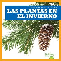 Las Plantas En El Invierno