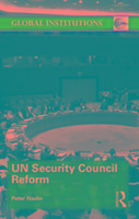 UN Security Council Reform