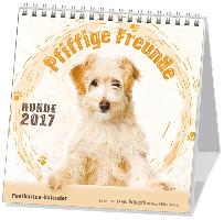 Pfiffige Freunde 2020. Postkarten-Kalender
