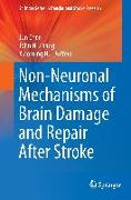 Non-Neuronal Mechanisms of Brain Damage and Repair After Stroke