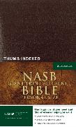 NASB, Reference Bible, Giant Print, Personal Size, Imitation Leather, Burgundy, Red Letter Edition, Thumb Indexed
