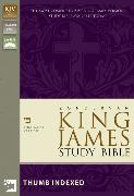 KJV Zondervan Study Bible, Bonded Leather, Burgundy, Indexed, Red Letter Edition