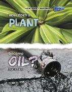 How Does a Plant Become Oil?