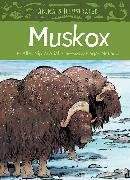 Animals Illustrated: Muskox