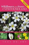 Wildflowers and Ferns of Newfoundland and Labrador: Field Guide