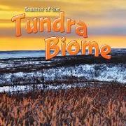 Seasons of the Tundra Biome