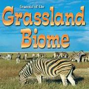 Seasons of the Grassland Biome