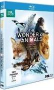 The Wonder of Animals-Tierische Überlebenskünstler