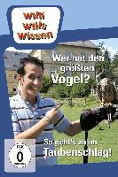 Wer hat dern größten Vogel? So geht's zu im Taubenschlag!