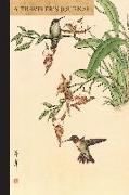 Hummingbirds: A Traveler's Journal