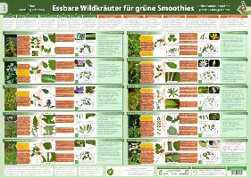 Essbare Wildkräuter für Grüne Smoothies Teil 2- Wandposter (DINA2) - (2018)
