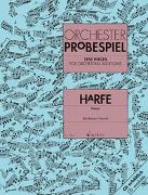 Orchester-Probespiel Harfe