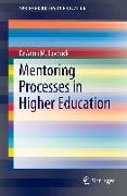 Mentoring Processes in Higher Education