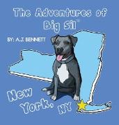 The Adventures of Big Sil New York, NY