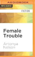 Female Trouble: Stories