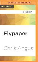 Flypaper