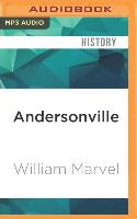 Andersonville: The Last Depot