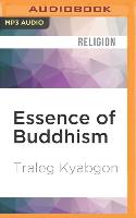 Essence of Buddhism: An Introduction to Its Philosophy and Practice (Shambhala Dragon Editions)