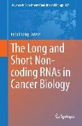 The Long and Short Non-coding RNAs in Cancer Biology