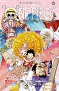 One Piece, Band 80