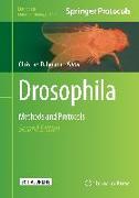 Drosophila