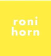 Roni Horn : todo dormía como si el Universo fuera un error