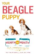 Your Beagle Puppy Month by Month