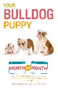 Your Bulldog Puppy Month by Month