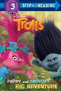 Poppy and Branch's Big Adventure (DreamWorks Trolls)