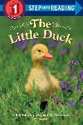 The Little Duck