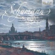 SCHUMANN:PIANO TRIOS/STRING QUARTETS