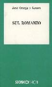 Sul romanzo